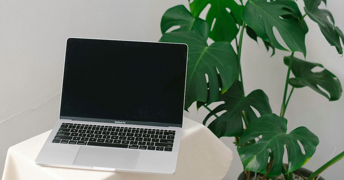 San Jose Tech Scene: Complete Guide for Developers & Digital Nomads
